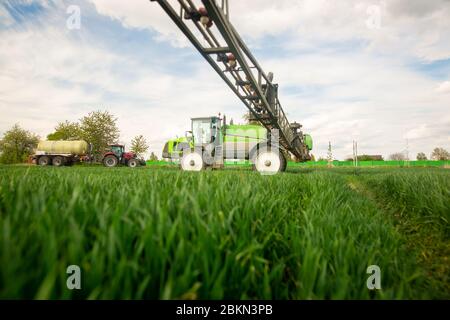 Tracteur pulvérisant des pesticides, fertilisant sur le champ végétal avec pulvérisateur au printemps, concept de fertilisation Banque D'Images