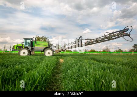 Tracteur pulvérisant des pesticides, fertilisant sur le champ végétal avec pulvérisateur au printemps, concept de fertilisation Banque D'Images