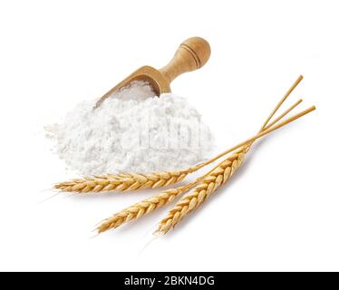 Farine de blé avec des épillets et une cuillère en bois isolée sur blanc. Banque D'Images