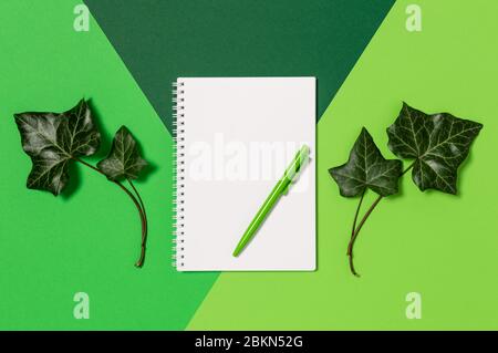 Bloc-notes avec papier vierge et stylo sur fond vert. Feuilles de lierre Evergreen. Concept de protection de la nature et de l'environnement. Flat lay, vue de dessus avec copie Banque D'Images