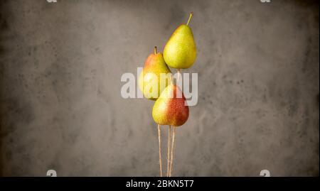 Ballons décoratifs en forme de trois poires mûres flottant sur une ficelle devant une ardoise grise ou un fond métallique avec espace de copie dans un panorama Banque D'Images