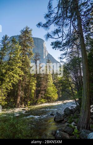 Vue sur El Capitan et Merced River qui traverse la vallée, le parc national de Yosemite, site classé au patrimoine mondial de l'UNESCO, Californie, États-Unis, Amérique du Nord Banque D'Images