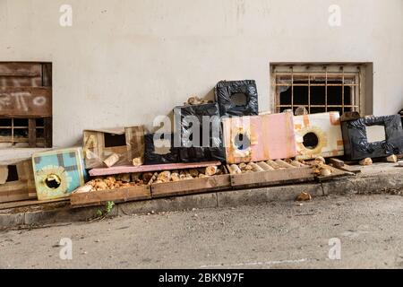 Beaucoup d'abris auto-fabriqués pour chats isolés fait. Par des volontaires dans le centre de Dubrovnik, Dalmatie, Croatie. Hôtel Cat composé de carton, WO Banque D'Images