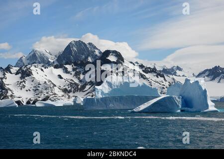 Fjord Drygalski, icebergs flottants, Géorgie du Sud, Géorgie du Sud et îles Sandwich, Antarctique Banque D'Images