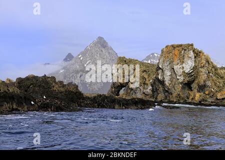 Undine Harbour, Géorgie du Sud, Géorgie du Sud et îles Sandwich, Antarctique Banque D'Images