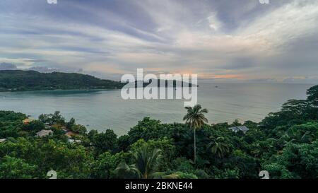 Photo de paysage donnant sur une baie sur l'île Mahé Seychelles avec la végétation riche et un grand palmier Banque D'Images