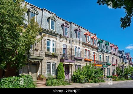 Maisons victoriennes colorées dans le plateau de l'arrondissement Mont-Royal à Montréal, Québec Banque D'Images