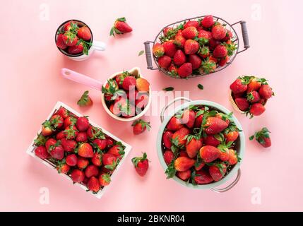 Fruits de fraise bio dans de nombreux contenants, boîte, passoire, tasse et panier sur fond rose sans couture. Fraises fraîches. Récolte de fruits d'été. Banque D'Images