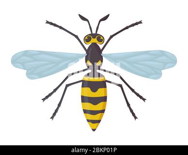 Guêpe détaillée isolée sur fond blanc. Insecte, hornet, concept dangereux. Illustration vectorielle de stock en style de dessin animé plat. Illustration de Vecteur