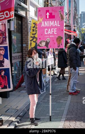 Affiche de Girl Holding Animal Cafe, Tokyo, Japon Banque D'Images