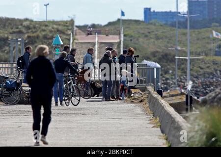 IJmuiden, pays-Bas. 05e mai 2020. IJMUIDEN, 05-05-2020, Drukte op strand dolfijn IJmuiden, Haven IJmuiden, dolfijn kijkers. Plage surpeuplée, observateurs de dauphins, Port IJmuiden, crédit: Pro Shots/Alamy Live News Banque D'Images