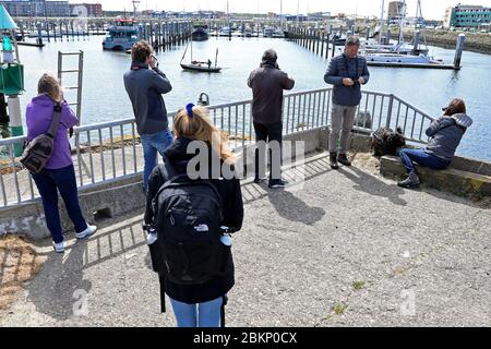 IJmuiden, pays-Bas. 05e mai 2020. IJMUIDEN, 05-05-2020, Drukte op strand dolfijn IJmuiden, Haven IJmuiden, dolfijn kijkers. Plage surpeuplée, observateurs de dauphins, Port IJmuiden, crédit: Pro Shots/Alamy Live News Banque D'Images