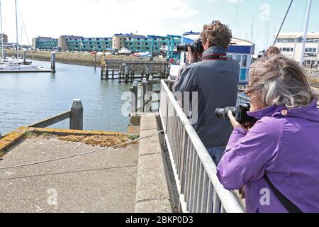 IJmuiden, pays-Bas. 05e mai 2020. IJMUIDEN, 05-05-2020, Drukte op strand dolfijn IJmuiden, Haven IJmuiden, dolfijn kijkers. Plage surpeuplée, observateurs de dauphins, Port IJmuiden, crédit: Pro Shots/Alamy Live News Banque D'Images