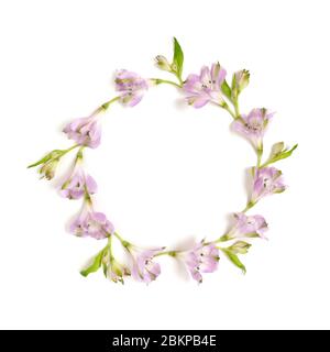 Cadre rond en fleurs d'alstroemeria et feuilles vertes sur fond blanc. Concept de ressort. Banque D'Images