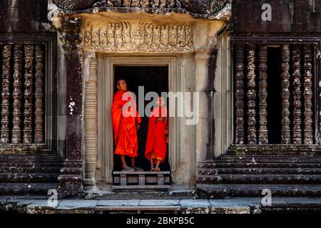 Monks bouddhistes débutants à Angkor Wat, Siem Reap, province de Siem Reap, Cambodge. Banque D'Images