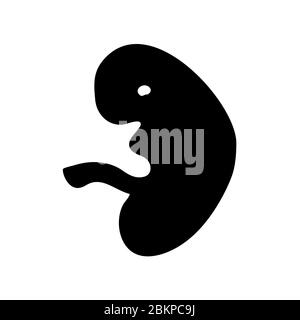 Icône de vecteur de fœtus, fœtus de jeune enfant humain, stade embryonnaire, symbole d'illustration de vecteur minimaliste Illustration de Vecteur
