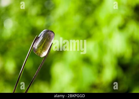 Amétrine. Cristal naturel sans traitement en brucelles, sur fond vert. Placer pour le texte Banque D'Images