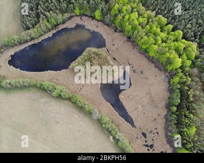 Étang de marais à côté du lac Krüselinsee, Brandebourg, Allemagne Banque D'Images