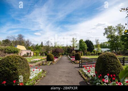 Glasgow, Écosse, Royaume-Uni. 5 mai 2020. Météo au Royaume-Uni : après-midi chaud et ensoleillé au jardin clos de Bellahouston Park. Credit: SKULLY/Alay Live News Banque D'Images