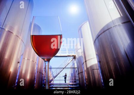 Verre de vin rouge et grands bacs de maturation de raisin en extérieur haute technologie ensoleillé moderne grande échelle usine de production de vin Conceptual Amérique Etats-Unis Napa Californie Etats-Unis Banque D'Images