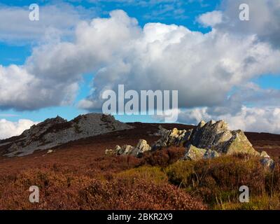 Manstone Rock partie de la Stiperstones une crête de quartzite dans la région de Shropshire Hills d'une beauté naturelle exceptionnelle Angleterre Royaume-Uni. Banque D'Images