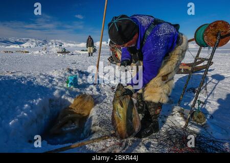 Danemark, Groenland, baie de Disko, pêcheurs de flétan sur la banquise Banque D'Images