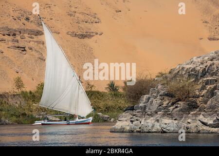 Égypte, haute Égypte, près de l'île d'Elephanine, marin sur un felouque naviguant sur le Nil Banque D'Images