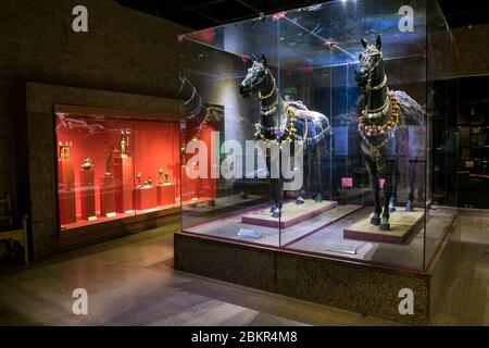 Égypte, haute Égypte, vallée du Nil, Assouan, Musée de Nubie, chevaux nubiens Banque D'Images