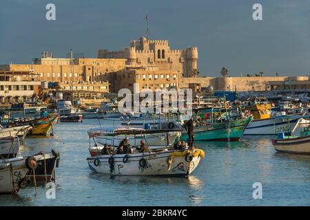 Égypte, Basse-Égypte, côte méditerranéenne, Alexandrie, la Corniche, bateaux de pêche ancrés dans la baie, forteresse de la baie de Qait à l'arrière Banque D'Images