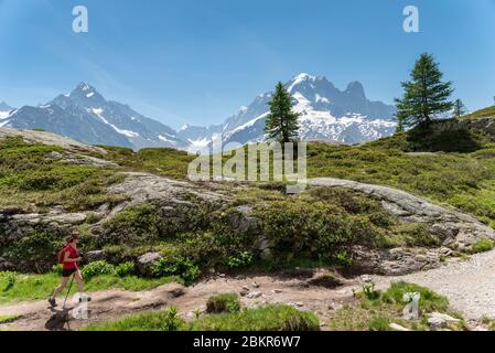 France, haute-Savoie (74), Argenti?re, Lac de la Remuaz, randonneur sur le GRP Tour du pays du Mont-blanc avec l'aiguille verte (4122m) et le Drus (3754m) en arrière-plan Banque D'Images