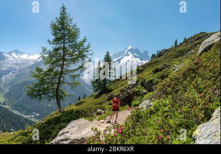 France, haute-Savoie (74), Argenti?re, Lac de la Remuaz, randonneur sur le GRP Tour du pays du Mont-blanc avec l'aiguille verte (4122m) et le Drus (3754m) en arrière-plan Banque D'Images