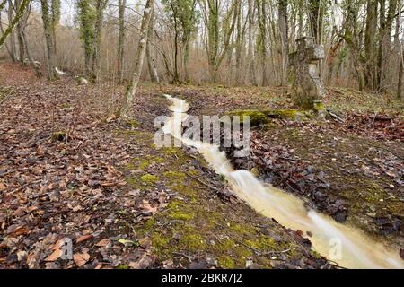 France, Meuse, Pagny sur Meuse, chapelle notre Dame de Massey datant du XIIIe siècle et connue pour avoir reçu la visite de Jeanne d'Arc qui est venue prier là en février 1429, parc avec un torrent arrivant vers la chapelle et une croix Banque D'Images