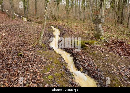 France, Meuse, Pagny sur Meuse, chapelle notre Dame de Massey datant du XIIIe siècle et connue pour avoir reçu la visite de Jeanne d'Arc qui est venue prier là en février 1429, parc avec un torrent arrivant vers la chapelle et une croix Banque D'Images