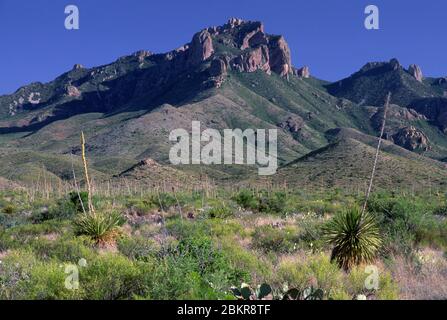 Les montagnes Chiso, Big Bend National Park, Texas Banque D'Images