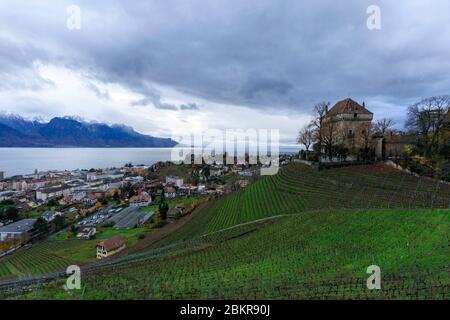 Suisse, canton de Vaud, Montreux, quartier de Chatelard, Château du Chatelard, Lac Léman en arrière-plan Banque D'Images