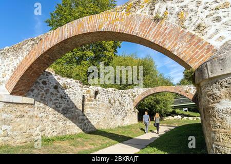 France, Seine et Marne, Chelles, ruines du Moulin de Chelles Banque D'Images