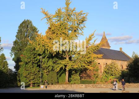 France, haute Vienne, Limoges, quartier historique de la Cité, jardins de l'évêché avec la Chapelle de la règle Banque D'Images