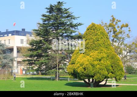 France, Loiret, Orléans, Parc Louis Pasteur, jardin public français fondé en 1927 et situé dans le périmètre de la vallée de la Loire, classé au patrimoine mondial de l'UNESCO Banque D'Images