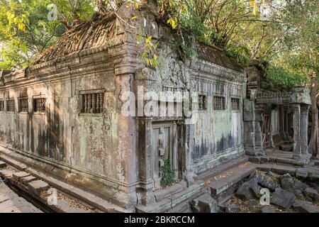 Cambodge, quartier de Siem Reap, temple de Beng Mealea temple classé au patrimoine mondial de l'UNESCO, construit au XIIe siècle par le roi Suryavarman II Banque D'Images