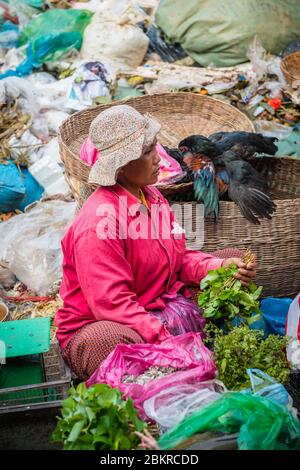 Cambodge, Siem Reap, vendeur de légumes sur le marché Banque D'Images