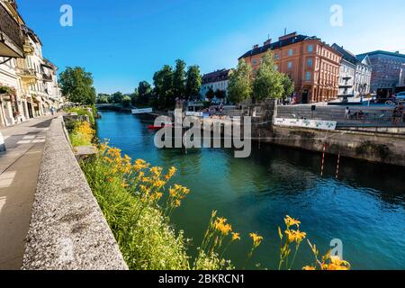 Slovénie, Ljubljana, rivière Ljubljana, Banque D'Images