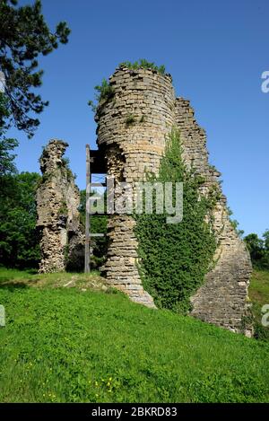 France, Jura, Château Chalon, étiqueté les plus Beaux villages de France?(les plus beaux villages de France), Tour Charlemagne, donjon médiéval, vestige du château Banque D'Images