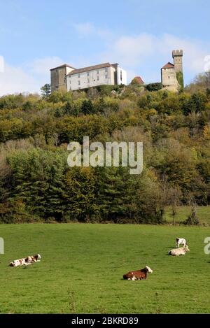 France, Jura, Cressia, château du XIVe siècle, actuellement école privée, prairie, vaches Montbéliarde Banque D'Images