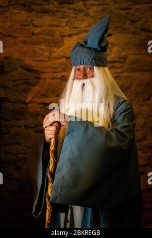 France, Morbihan, Trehorenteuc, visite du cachette de Merlin dans la forêt de Broceliande Banque D'Images