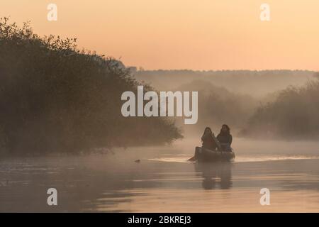 France, Morbihan, la Gacilly, canoë au lever du soleil sur les marais de Glenac Banque D'Images