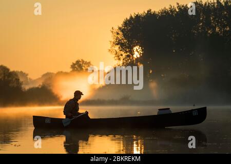 France, Morbihan, la Gacilly, canoë au lever du soleil sur les marais de Glenac Banque D'Images