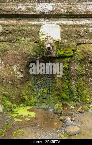 Gargouilles à l'eau sainte dans le complexe des tombes royales de la dynastie Udayane. Tombeaux royaux anciens du temple Gunung Kawi. Complexe funéraire centré aro Banque D'Images