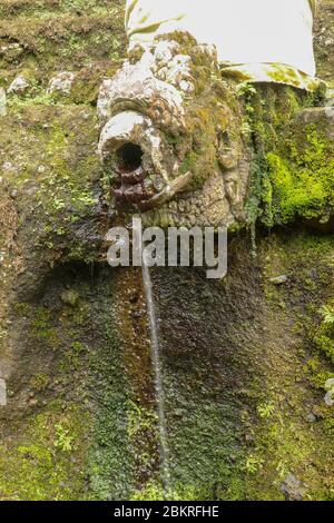 Gargouilles à l'eau sainte dans le complexe des tombes royales de la dynastie Udayane. Tombeaux royaux anciens du temple Gunung Kawi. Complexe funéraire centré aro Banque D'Images