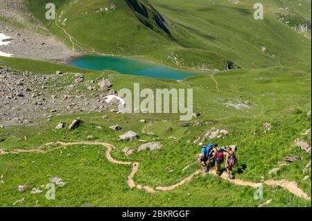 France, Savoie, Beaufortain, Lac d'Amour vu de la route venant du Col ? Tutu Banque D'Images