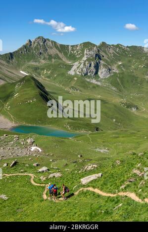 France, Savoie, Beaufortain, Lac d'Amour vu de la route venant du Col ? Tutu Banque D'Images